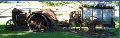 Antique Tractor with summer flowers